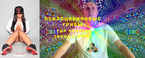 спайс Покачи