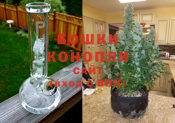 спайс Покачи