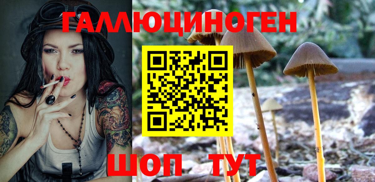 Псилоцибиновые грибы GOLDEN TEACHER  Псилоцибиновые грибы Psilocybine cubensis  Вход с VPN  Ялта 